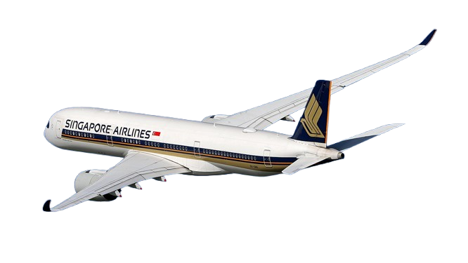 Singapore Airlines Flight